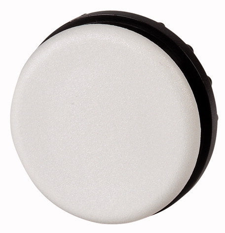 EAO 216388 M22 B GRIS 7035 BOUCHON ROND