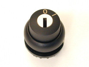 EAO 229093 M22S WRS A1 CLÉ SEL 2 POS MS1 PERM