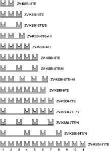 EAO 263968 ZV KSBI 7TE S BARR 7 POLES X SPC ATS