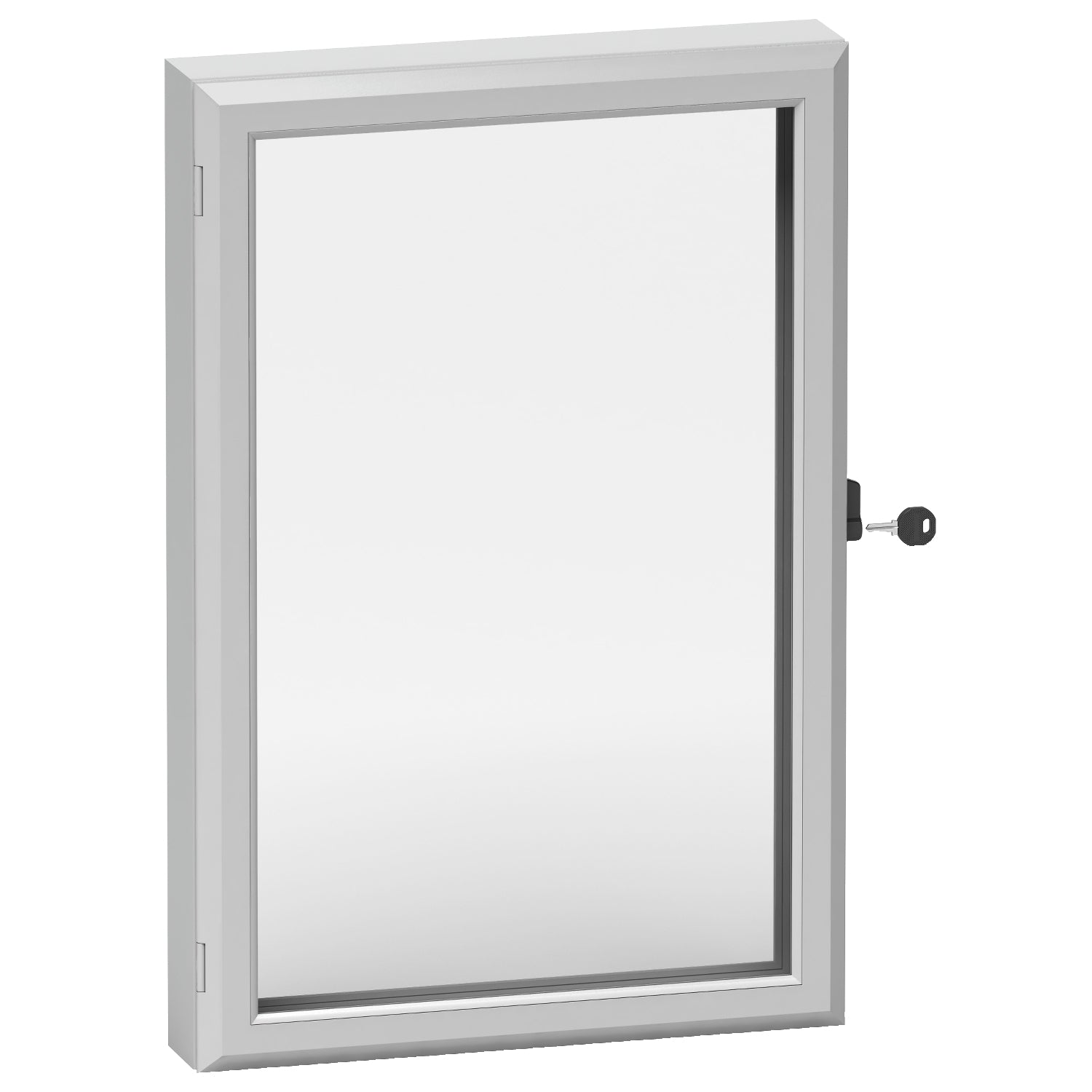 SNR NSYCW46 Hublot de commande IP55 400x600 mm