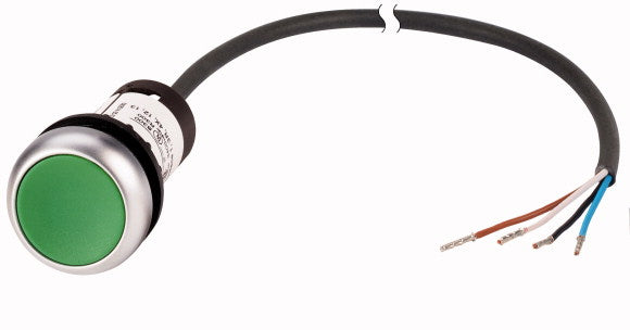 EAO 185670 C22 DG K10 P62 PULS INST 1NO VERT 1M