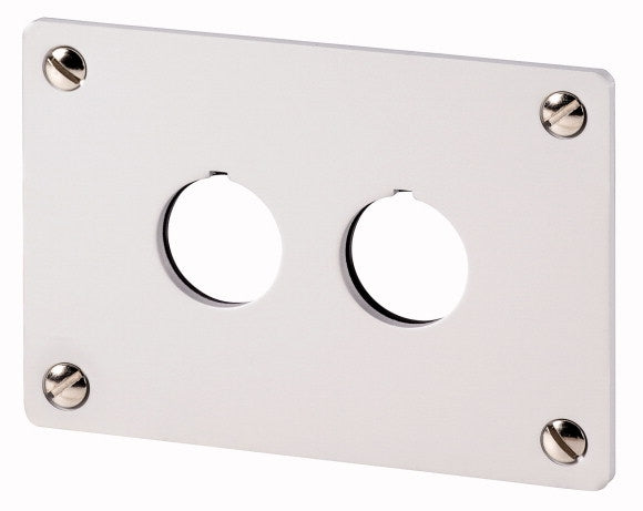 EAO 216543 M22 E2 PLAQUE A ENCASTRER 2 TROUS ALU