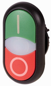 EAO 216701 M22S DDL GR X1 X0 PULS DOP LUM IMP VR IO