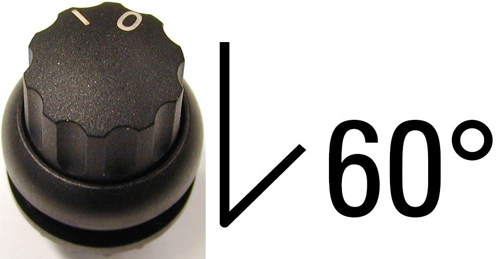 EAO 216856 M22S WR SEL BOUTON 2 POS PERM