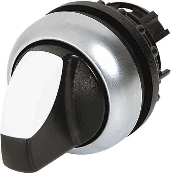 EAO 216868 M22 WRK GVP LEVIER SELECTEUR 2 POS POUR 60GR