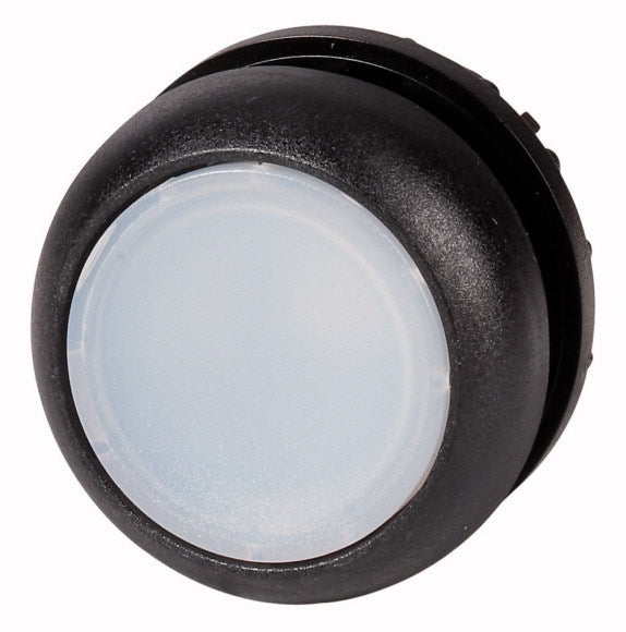 EAO 216924 M22S DL W PULS LUM FILETAGE ANNEAU