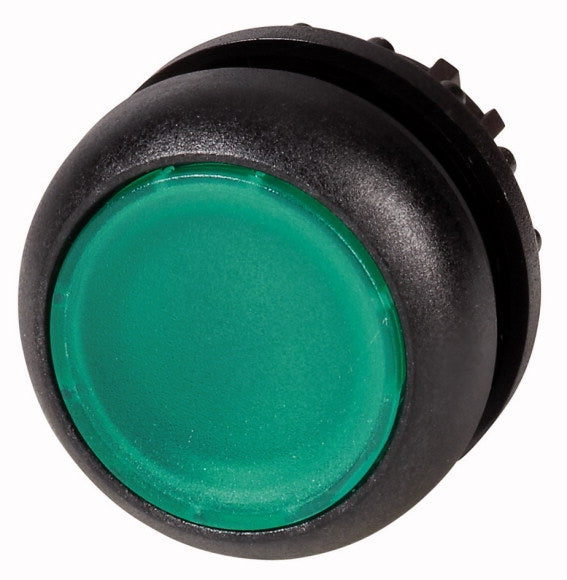 EAO 216928 M22S DL G PULS LUM FILETAGE ANNEAU
