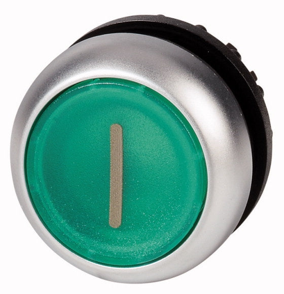 EAO 216938 M22 DL G X1 PULS LUM PLAT IMP VERT