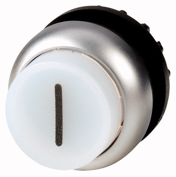 EAO 216981 M22 DLH W X1 PULS LUM SAILLANT