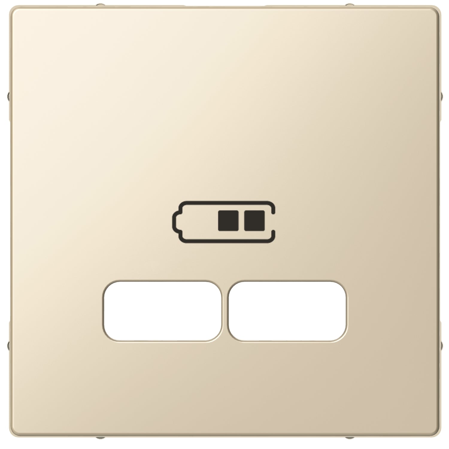 SNR MTN4367 0344 Plaque centrale USB2 0 SysM blanche