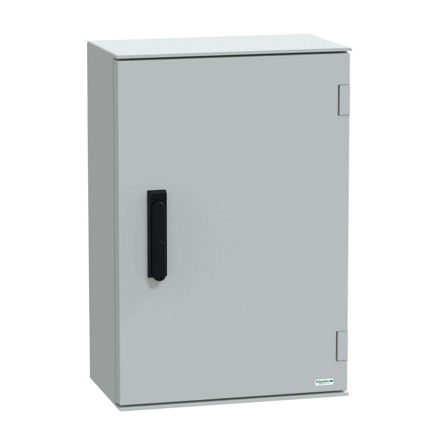 SNR NSYPLM64VG 7035 Gehäuse 645x435x250 IP66 Mann