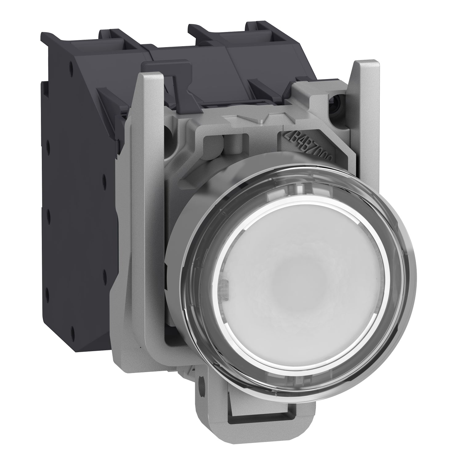 SNR XB4BP183BM5GEX   Pulsante luminoso bianco 24 240V ATEX
