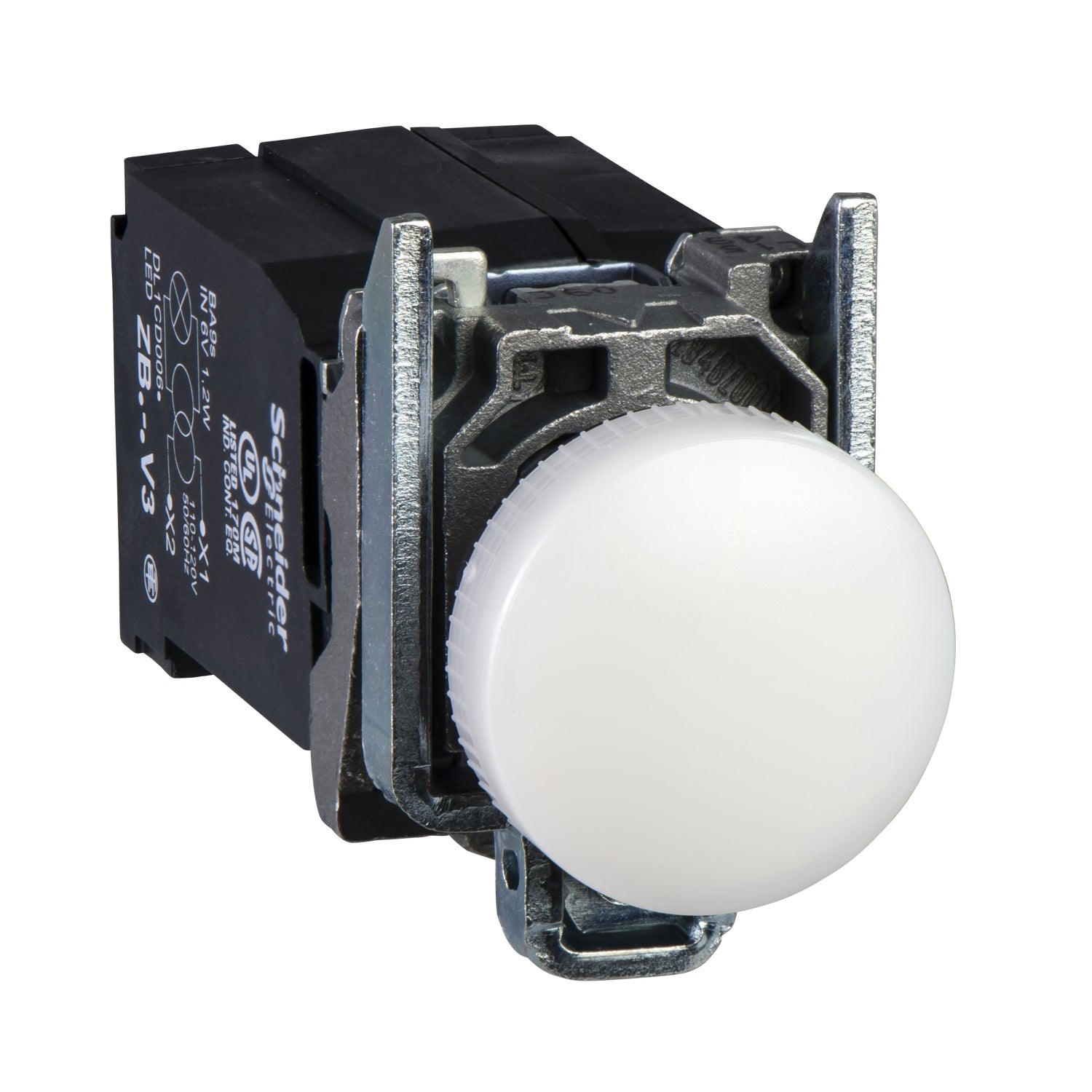SNR XB4BV31          Lampada spia bianca