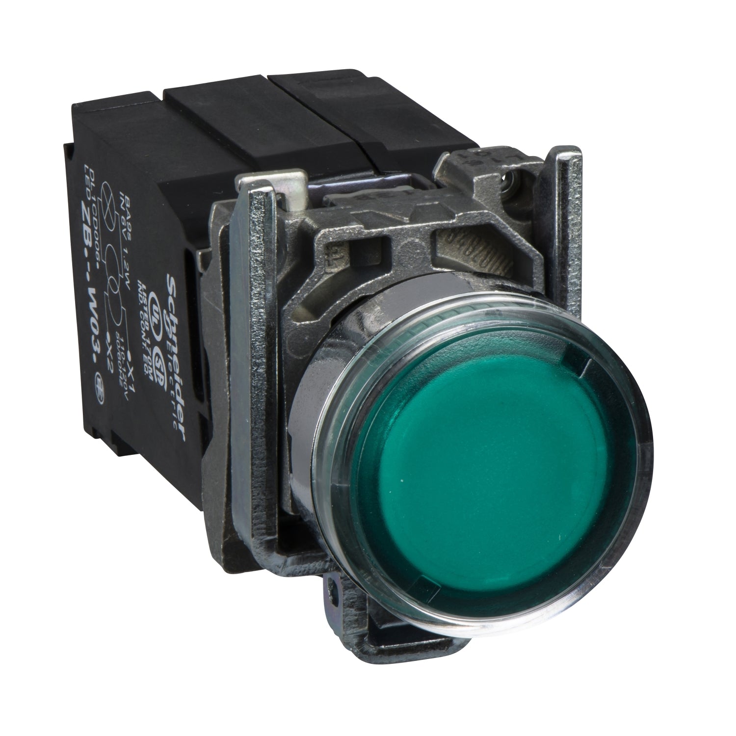 SNR XB4BW3335 Grün beleuchteter Knopf 120 V