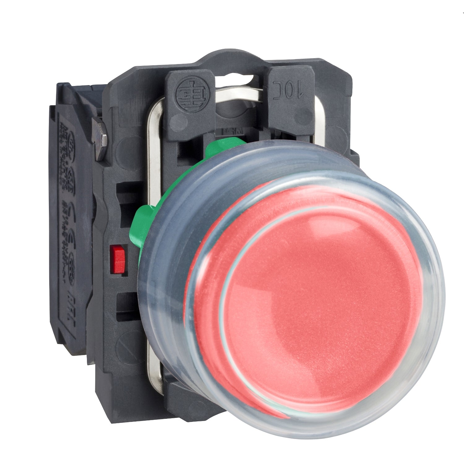 SNR XB5AP42          Pulsante rosso