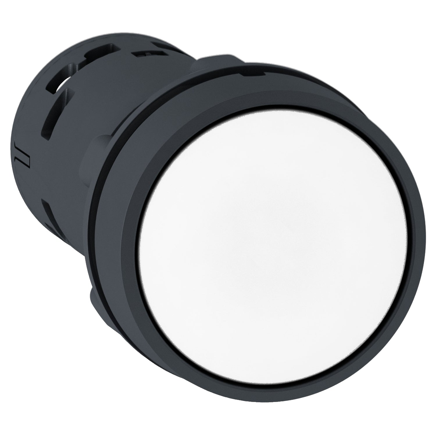SNR XB7NA11 Bouton blanc