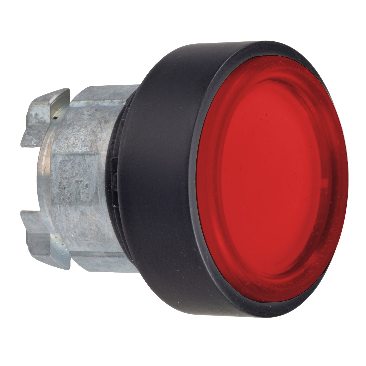 SNR ZB4BP4837        Testa pulsante rosso