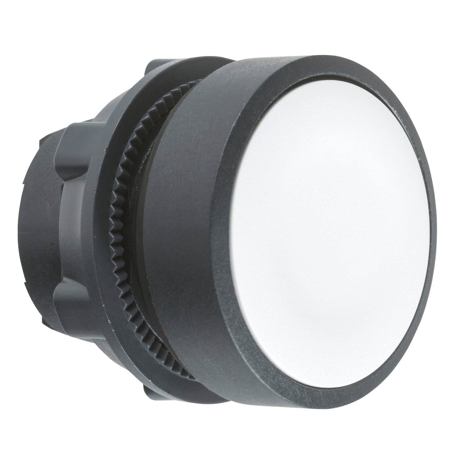 SNR ZB5AA1 Tête de bouton blanche