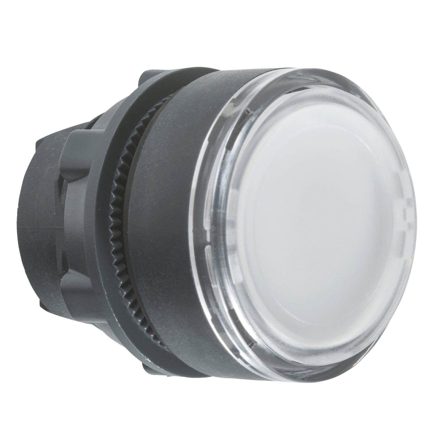 SNR ZB5AA18 Tête de bouton blanche