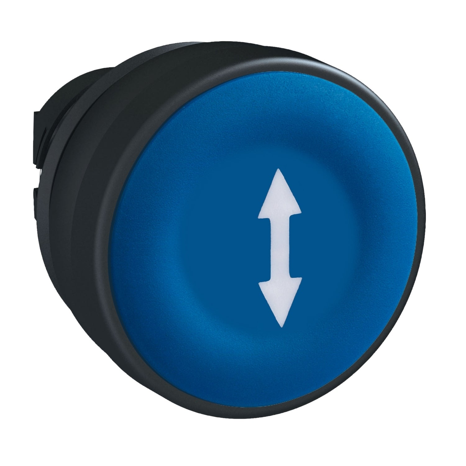 SNR ZB5AA651 Tête de bouton bleue