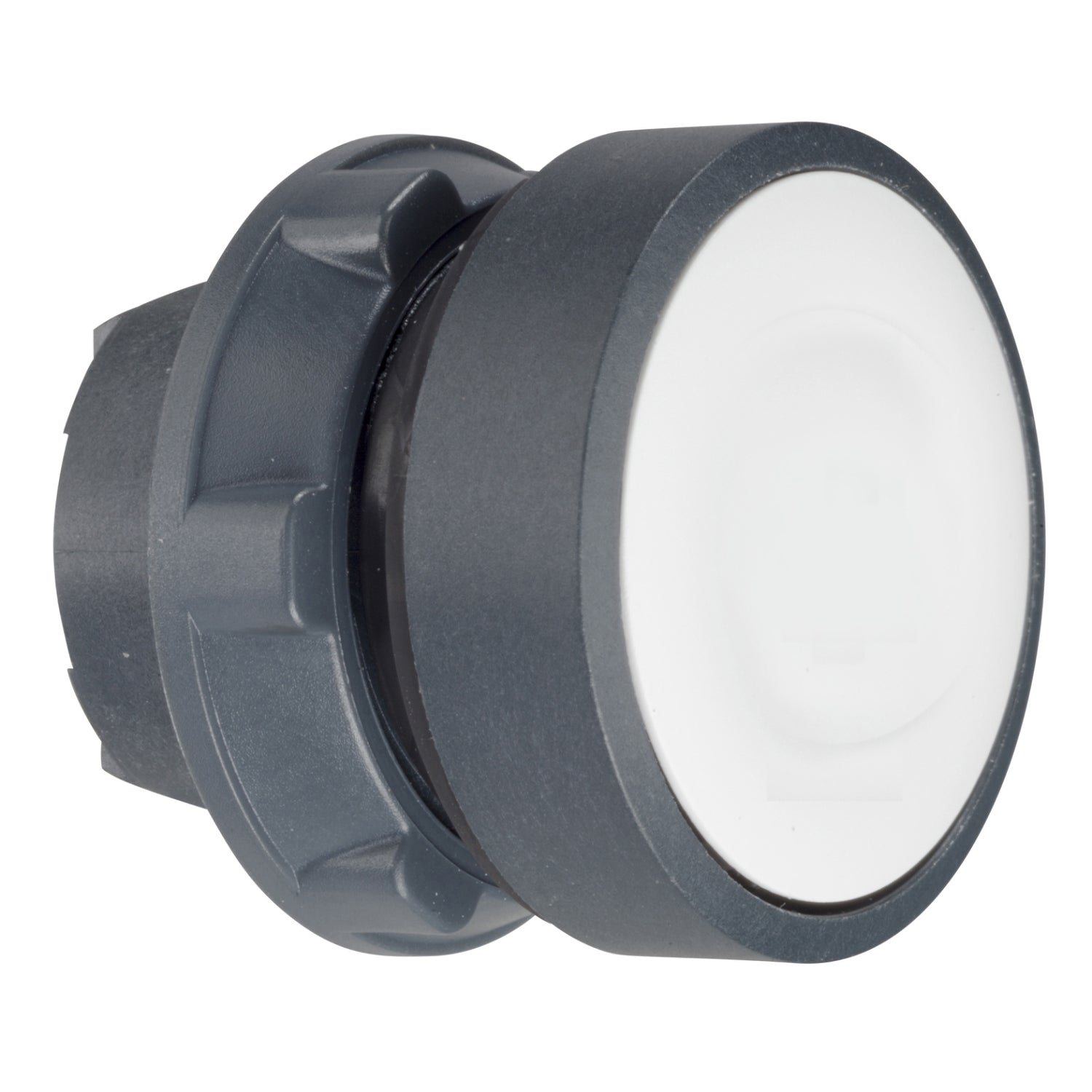 SNR ZB5AW31 Tête de bouton lumineuse blanche