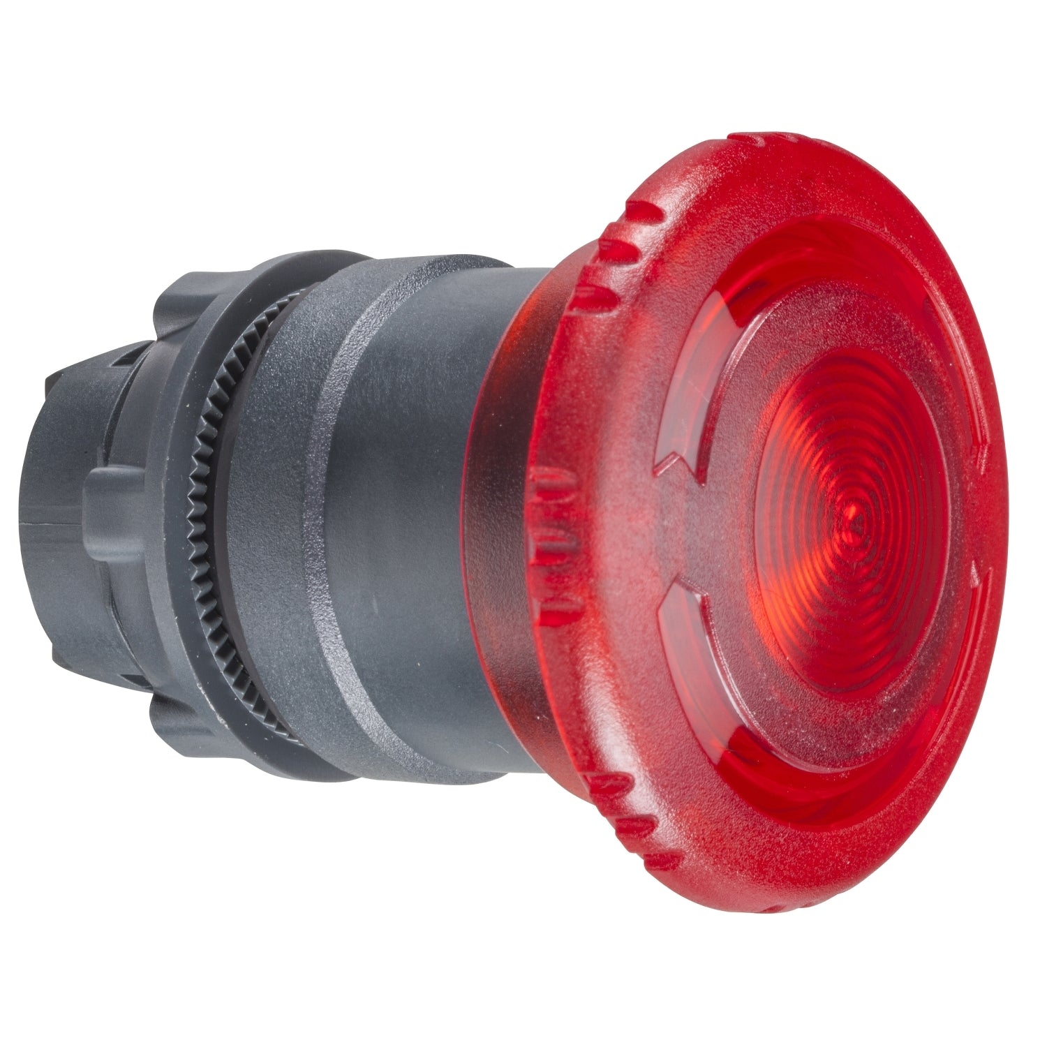 SNR ZB5AW743 Tête de champignon rouge