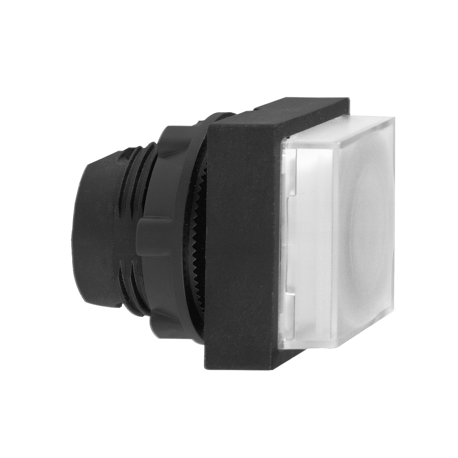 SNR ZB5CW113 Tête de bouton lumineuse blanche