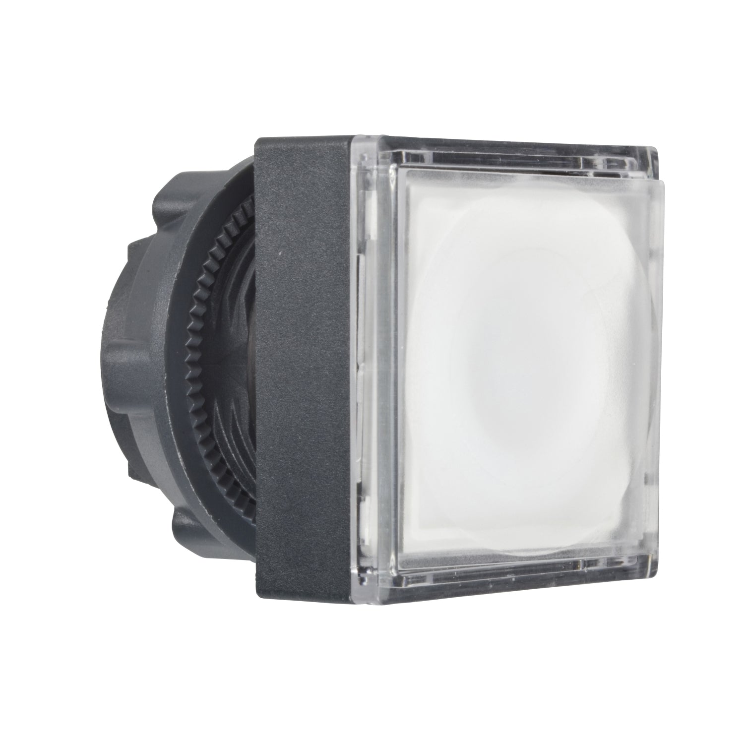 SNR ZB5CW313 Tête de bouton lumineuse blanche