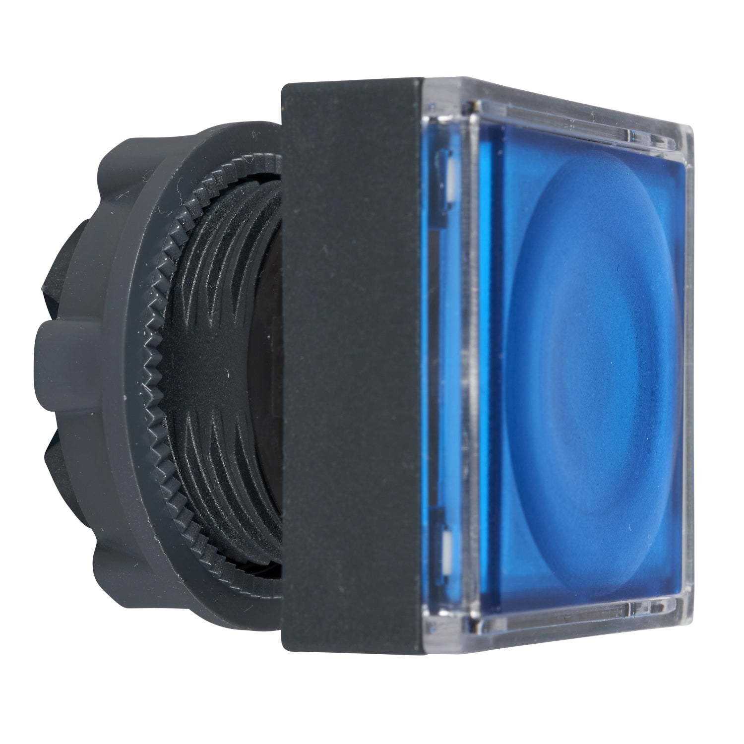 SNR ZB5CW363 Beleuchteter blauer Tastenkopf