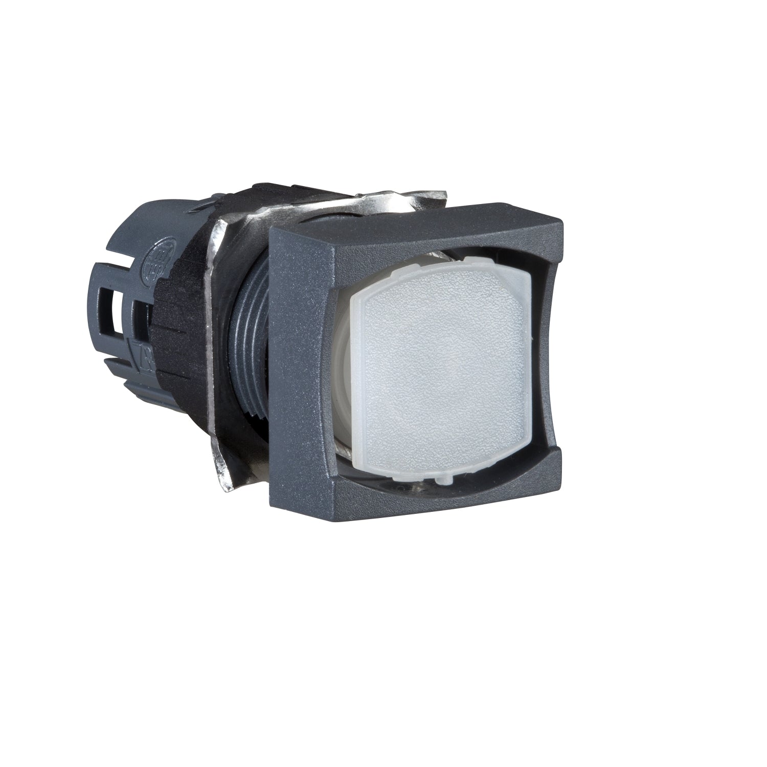 SNR ZB6CW0 Tête bouton sans capsule